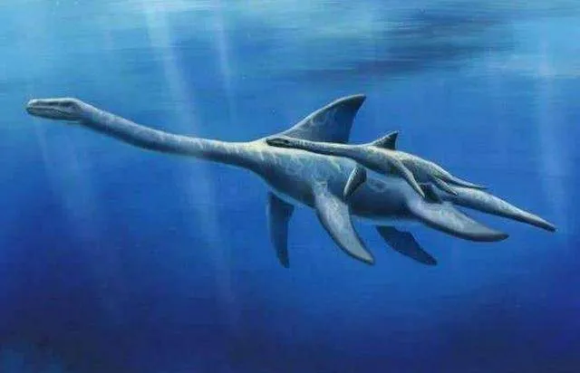 Bí ẩn về quái vật hồ Loch Ness đã được giải đáp Bí ẩn về quái vật hồ Loch Ness đã được giải đáp