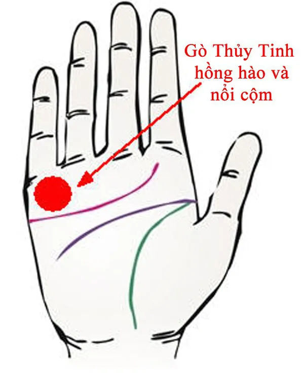 Dấu hiệu phú quý trong lòng bàn tay phụ nữ Dấu hiệu phú quý trong lòng bàn tay phụ nữ