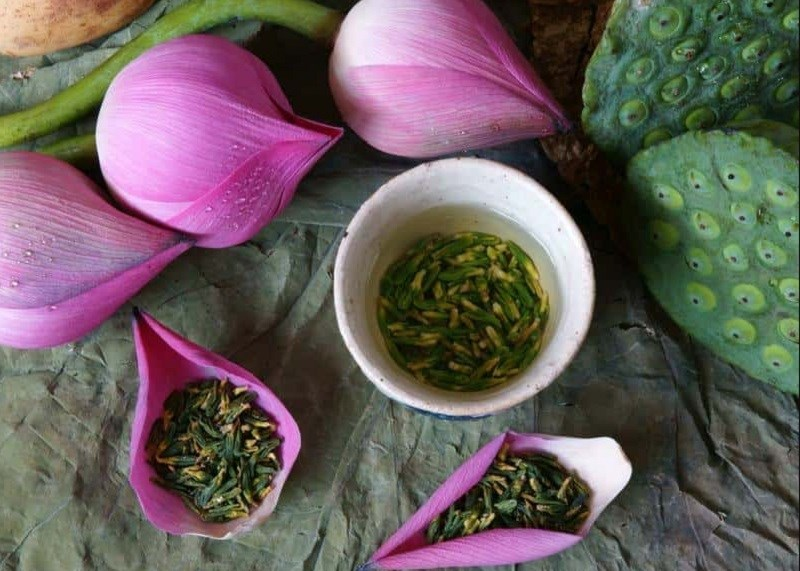 Trà thảo mộc là gì? Các loại trà thảo mộc tốt cho sức khỏe Trà thảo mộc là gì? Các loại trà thảo mộc tốt cho sức khỏe