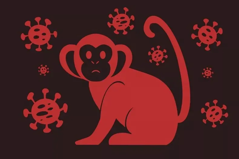 Virus đậu mùa khỉ đột biến với tốc độ chưa từng có Virus đậu mùa khỉ đột biến với tốc độ chưa từng có