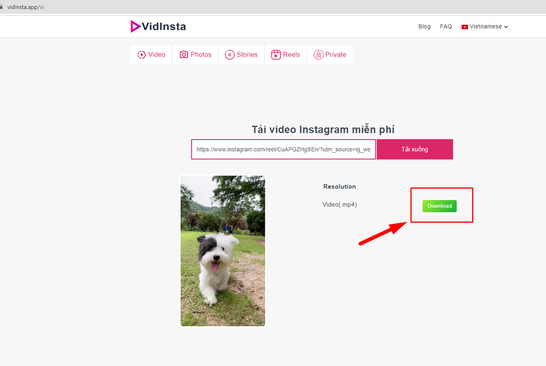 Tải video instagram đơn giản không phải ai cũng biết Tải video instagram đơn giản không phải ai cũng biết
