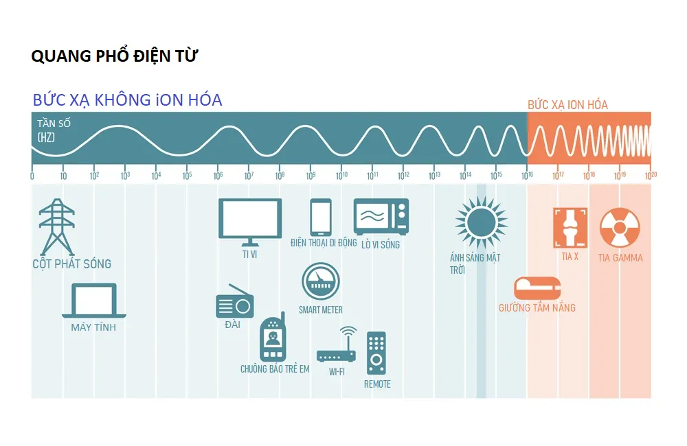 Tin được không: Khoai tây được dùng để cải thiện Wi-Fi trên máy bay Tin được không: Khoai tây được dùng để cải thiện Wi-Fi trên máy bay