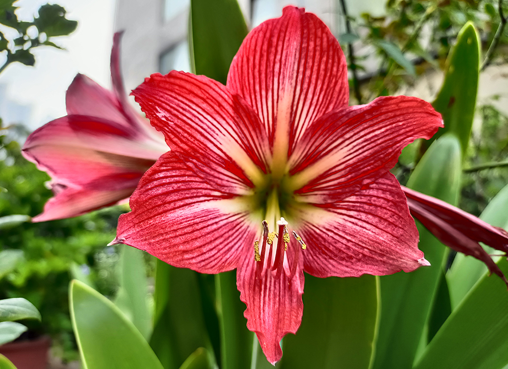 Đánh giá Reno6 Z: rất đáng mua nếu không quá coi trọng chơi game Đánh giá Reno6 Z: rất đáng mua nếu không quá coi trọng chơi game