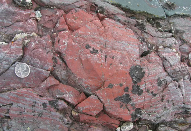 Sự sống trên Trái Đất có thể đã xuất hiện cách đây 4,3 tỷ năm Sự sống trên Trái Đất có thể đã xuất hiện cách đây 4,3 tỷ năm