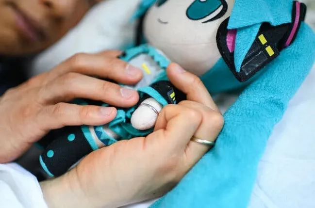 Chọn cưới waifu Hatsune Miku, thanh niên Nhật Bản này có hạnh phúc? Chọn cưới waifu Hatsune Miku, thanh niên Nhật Bản này có hạnh phúc?