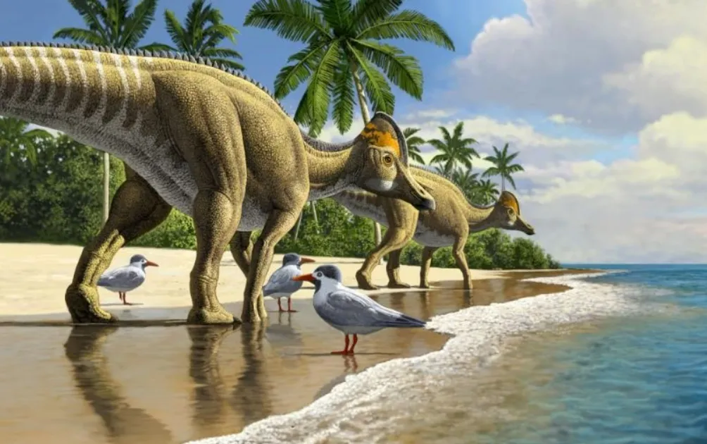 Những ngày cuối đời của khủng long Edmontosaurus diễn ra như thế nào? Những ngày cuối đời của khủng long Edmontosaurus diễn ra như thế nào?