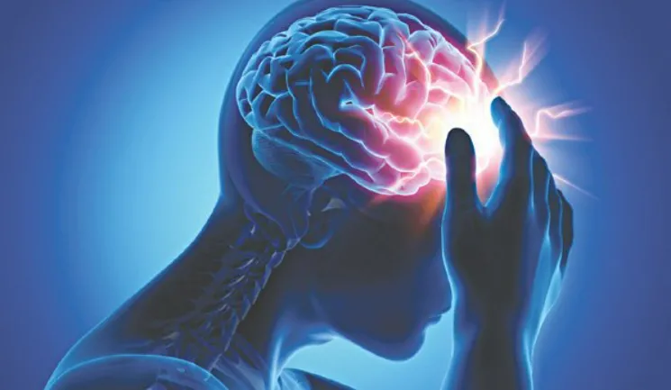 Phát hiện đột phá về hệ miễn dịch của não bộ Phát hiện đột phá về hệ miễn dịch của não bộ