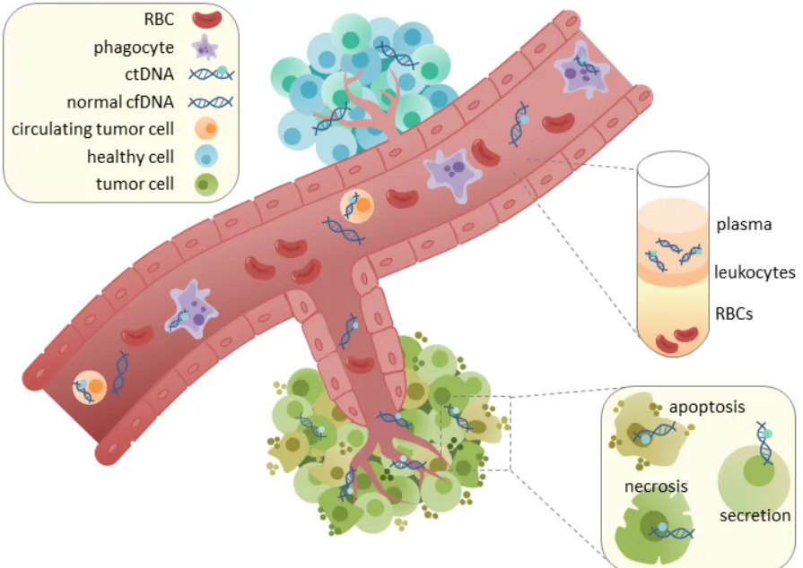 Có thể không hóa trị mà vẫn điều trị được bệnh ung thư không? Có thể không hóa trị mà vẫn điều trị được bệnh ung thư không?