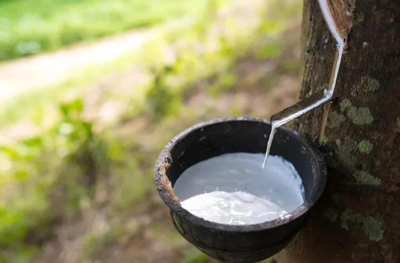 Lốp xe được làm từ cao su trắng, tại sao nó lại có màu đen? Lốp xe được làm từ cao su trắng, tại sao nó lại có màu đen?