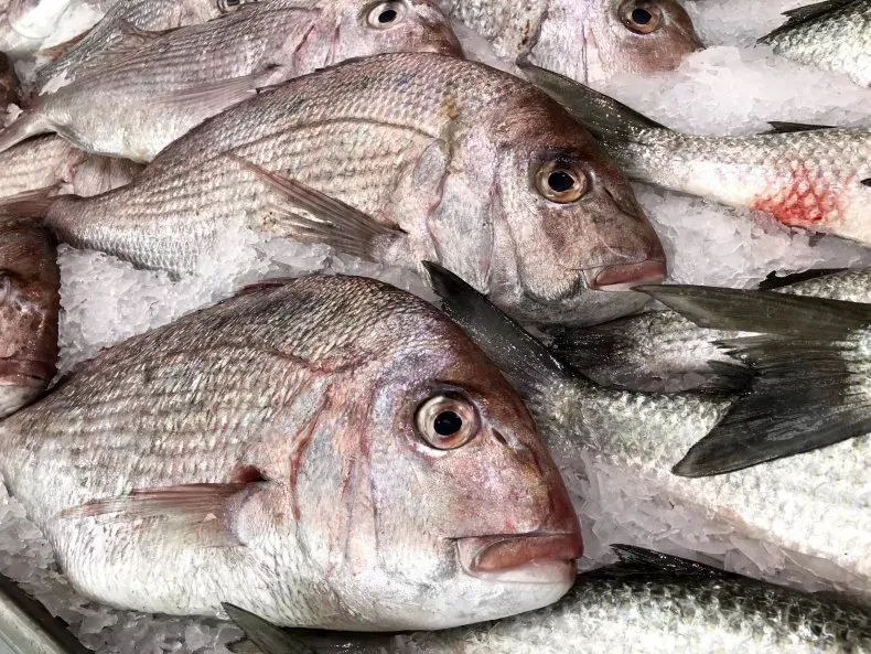 Cả gia đình mắc bệnh hiếm sau khi ăn cá Cả gia đình mắc bệnh hiếm sau khi ăn cá