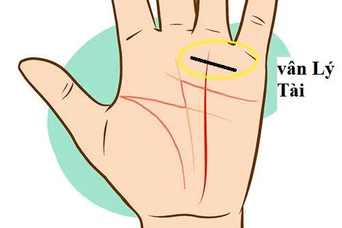 Xem tướng tay phụ nữ lấy được chồng tốt, đặc biệt điểm thứ 5 hiếm gặp nhưng rất chính xác Xem tướng tay phụ nữ lấy được chồng tốt, đặc biệt điểm thứ 5 hiếm gặp nhưng rất chính xác