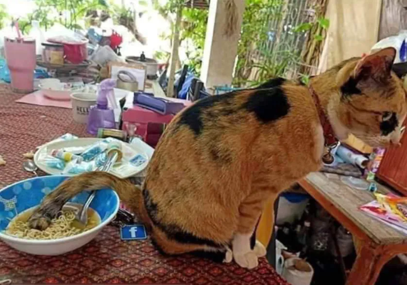 9 sai lầm về an toàn thực phẩm nhiều người đang mắc phải, đọc để biết mà tránh! 9 sai lầm về an toàn thực phẩm nhiều người đang mắc phải, đọc để biết mà tránh!