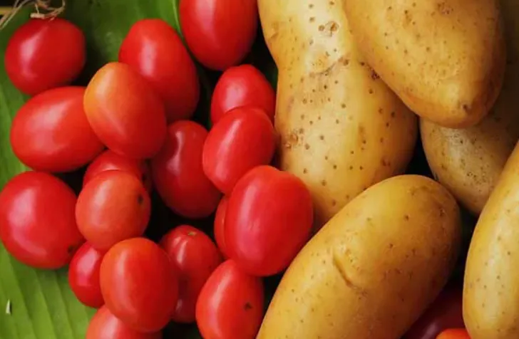 Khoai tây và cà chua nắm giữ bí mật điều trị ung thư Khoai tây và cà chua nắm giữ bí mật điều trị ung thư