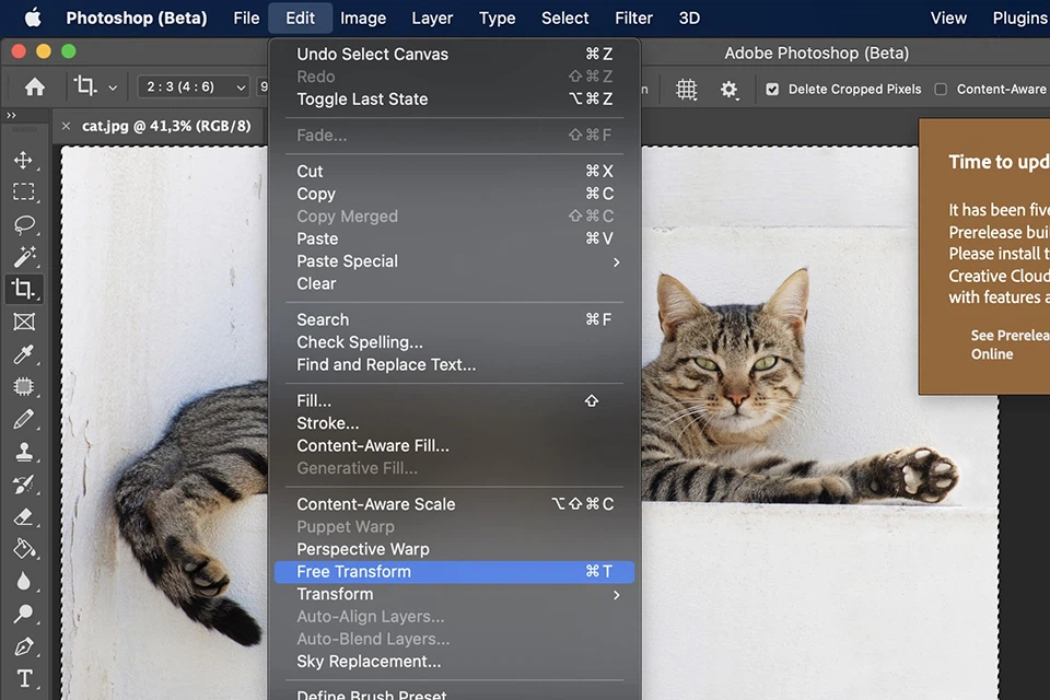 3 cách thay đổi kích thước hình ảnh bằng Adobe Photoshop nhanh chóng! 3 cách thay đổi kích thước hình ảnh bằng Adobe Photoshop nhanh chóng!