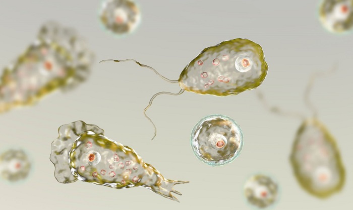 Một trẻ tử vong vì mắc amip ăn não hiếm gặp ở California  Một trẻ tử vong vì mắc amip ăn não hiếm gặp ở California