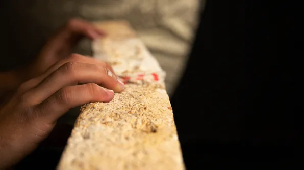 Nấm có thể là vật liệu cách nhiệt cho ngôi nhà của bạn trong tương lai Nấm có thể là vật liệu cách nhiệt cho ngôi nhà của bạn trong tương lai