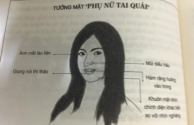 Tướng mặt phụ nữ phú quý, may mắn, hay tai quái, hiểm độc… Tướng mặt phụ nữ phú quý, may mắn, hay tai quái, hiểm độc…