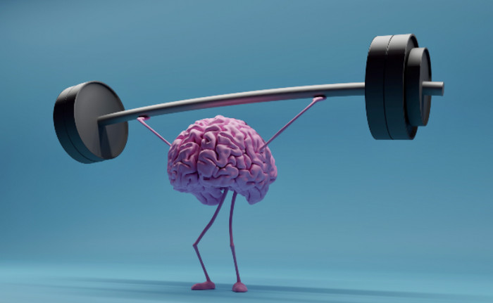 Ngủ quá nhiều không tốt cho não, có thể mắc Alzheimer? Ngủ quá nhiều không tốt cho não, có thể mắc Alzheimer?