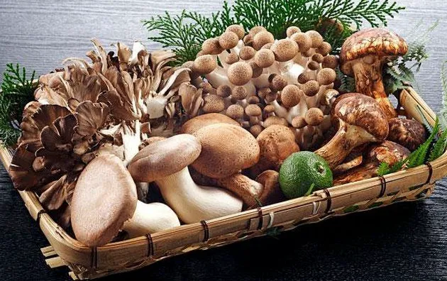Nghiên cứu mới: Ăn nấm có thể làm giảm nguy cơ trầm cảm Nghiên cứu mới: Ăn nấm có thể làm giảm nguy cơ trầm cảm