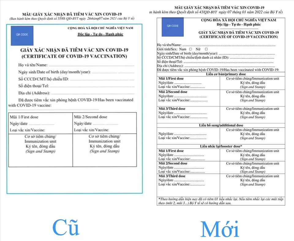 Vì sao mẫu giấy xác nhận tiêm vaccine Covid-19 có 7 mũi? Vì sao mẫu giấy xác nhận tiêm vaccine Covid-19 có 7 mũi?