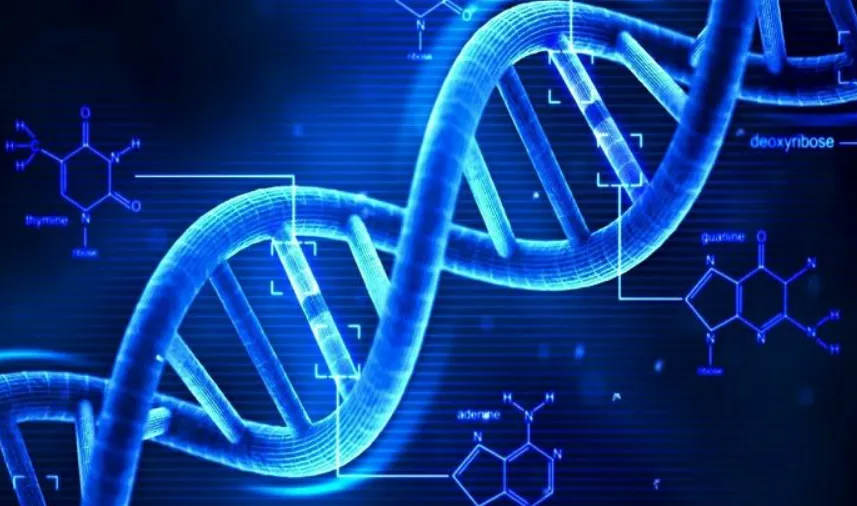 Giải mã thành công gần hết chuỗi gen của một phôi thai  Giải mã thành công gần hết chuỗi gen của một phôi thai