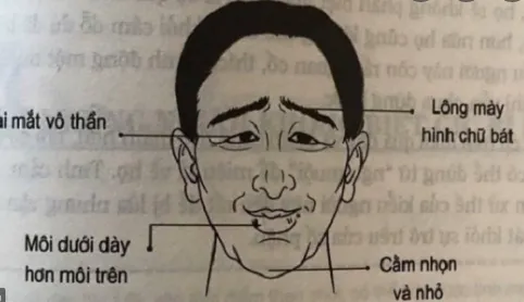 Tướng đàn ông lăng nhăng Tướng đàn ông lăng nhăng