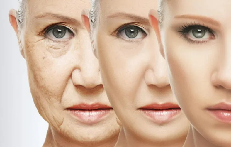 Tái lập trình tế bào giúp con người lấy lại 30 năm thanh xuân Tái lập trình tế bào giúp con người lấy lại 30 năm thanh xuân