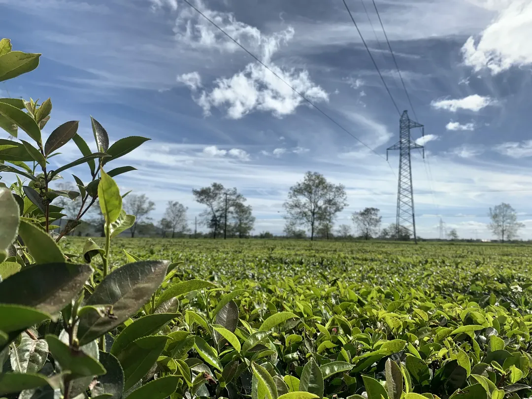 Kinh nghiệm du lịch Tây Nguyên ngon, bổ, rẻ (Phần 2) Kinh nghiệm du lịch Tây Nguyên ngon, bổ, rẻ (Phần 2)