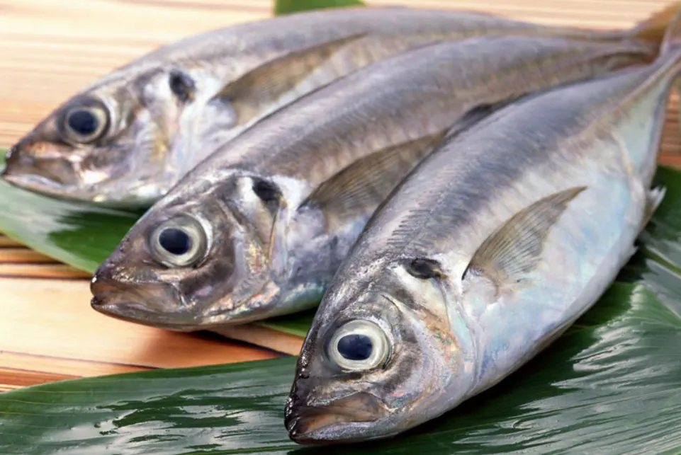 Mối liên hệ kỳ lạ giữa việc ăn cá và nguy cơ ung thư da Mối liên hệ kỳ lạ giữa việc ăn cá và nguy cơ ung thư da