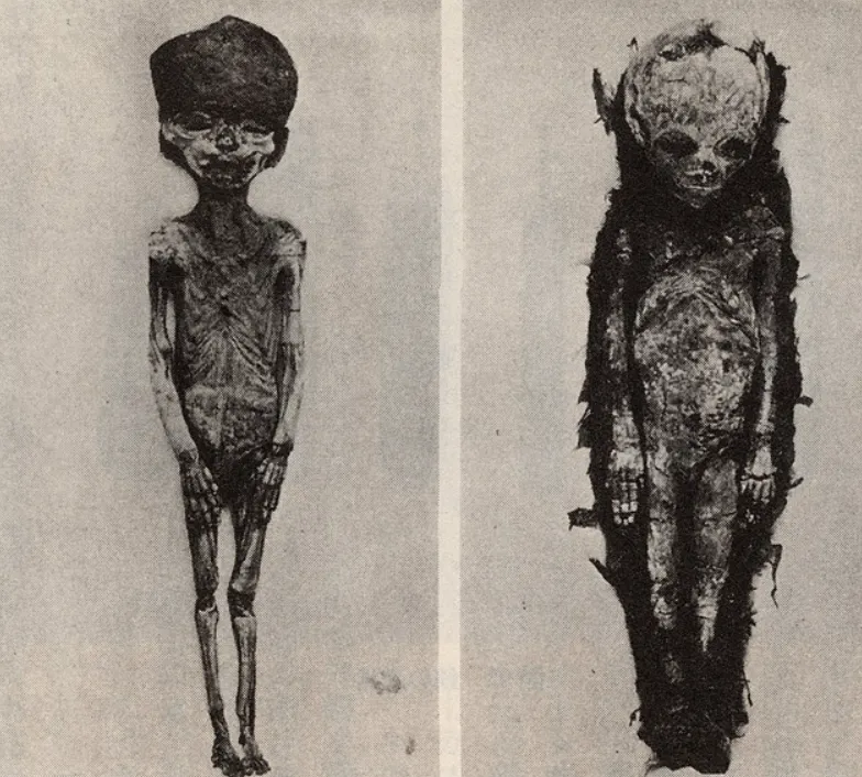Kỷ niệm 100 năm phát hiện lăng mộ Tutankhamun, tiết lộ 5 bí ẩn về vị Pharaoh chết trẻ Kỷ niệm 100 năm phát hiện lăng mộ Tutankhamun, tiết lộ 5 bí ẩn về vị Pharaoh chết trẻ