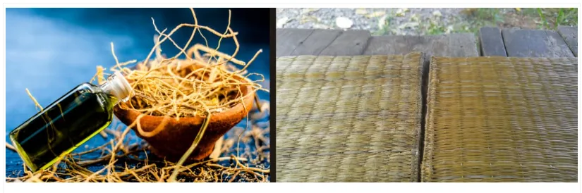 Tổ tiên chúng ta đã làm mát sáng tạo như thế nào? Đọc xong ngưỡng mộ trí tuệ của người xưa Tổ tiên chúng ta đã làm mát sáng tạo như thế nào? Đọc xong ngưỡng mộ trí tuệ của người xưa