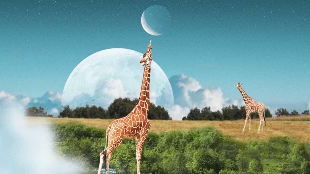 Làm quen với Photoshop. Những kiến thức cơ bản cho người mới bắt đầu Làm quen với Photoshop. Những kiến thức cơ bản cho người mới bắt đầu