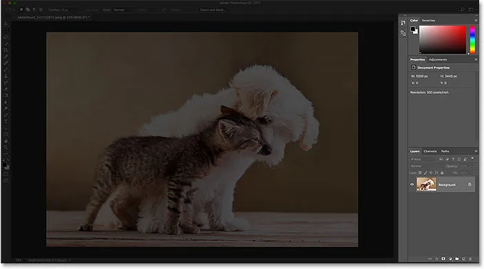 Làm quen với Photoshop. Những kiến thức cơ bản cho người mới bắt đầu Làm quen với Photoshop. Những kiến thức cơ bản cho người mới bắt đầu