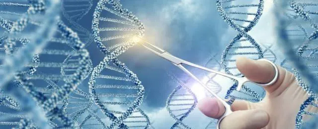 Nếu nhiễm sắc thể Y của con người biến mất sau 5 triệu năm nữa, con người tương lai sẽ đi về đâu? Nếu nhiễm sắc thể Y của con người biến mất sau 5 triệu năm nữa, con người tương lai sẽ đi về đâu?