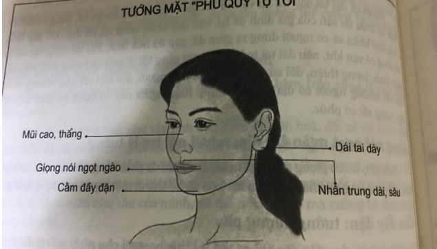 Tướng mặt phụ nữ phú quý, may mắn, hay tai quái, hiểm độc… Tướng mặt phụ nữ phú quý, may mắn, hay tai quái, hiểm độc…