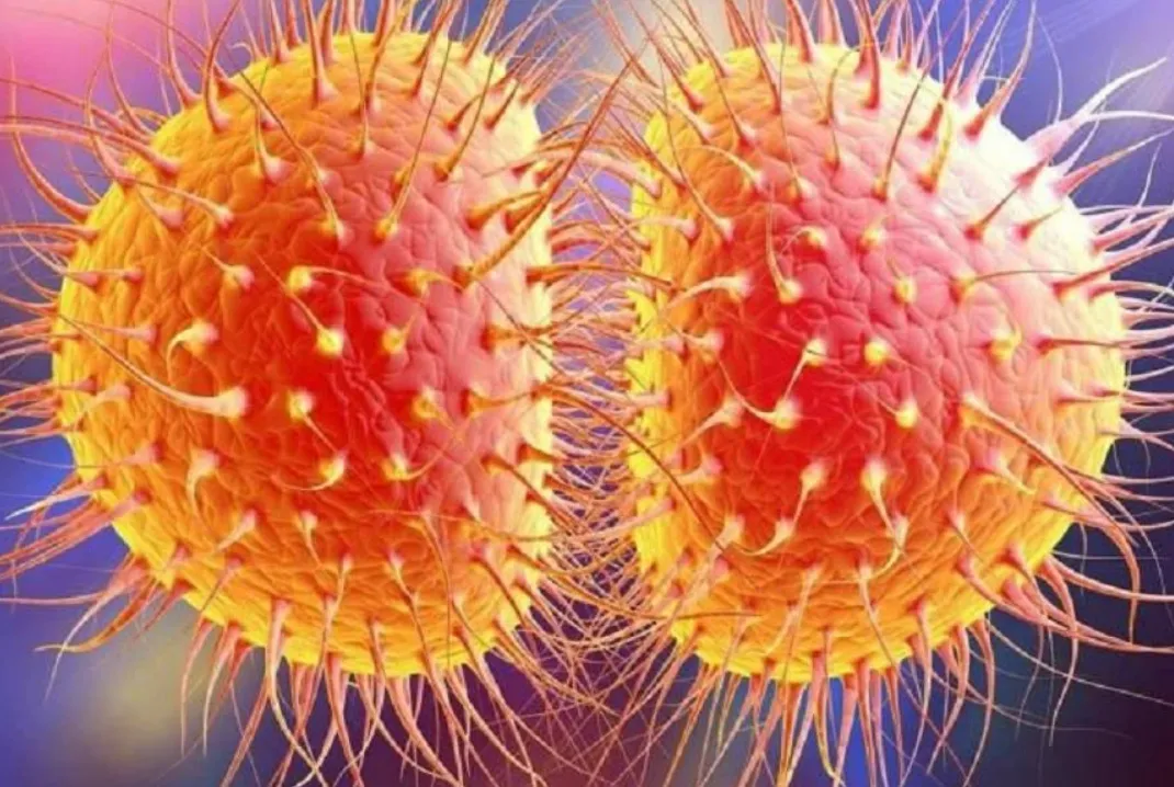 Siêu vi khuẩn lậu ngày càng gia tăng, cẩn trọng khi quan hệ tình dục Siêu vi khuẩn lậu ngày càng gia tăng, cẩn trọng khi quan hệ tình dục