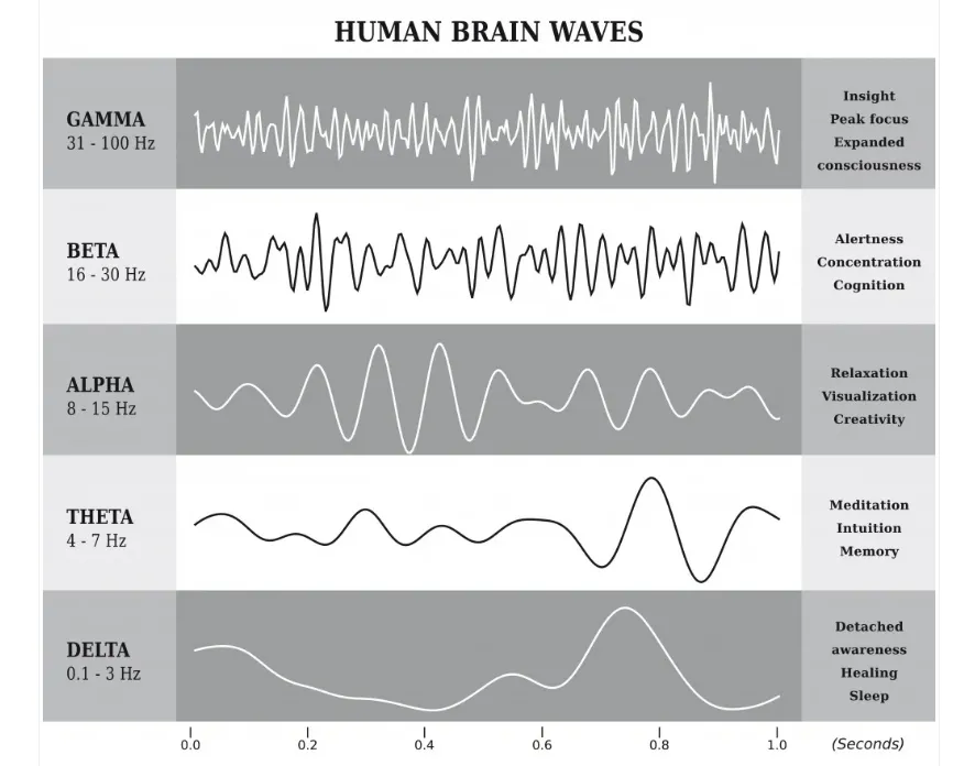 Tại sao Ác-si-met thốt lên “Ơ-rê-ka” trong phòng tắm? Tại sao nhiều ý tưởng lớn sinh ra từ... phòng tắm? Tại sao Ác-si-met thốt lên “Ơ-rê-ka” trong phòng tắm? Tại sao nhiều ý tưởng lớn sinh ra từ... phòng tắm?
