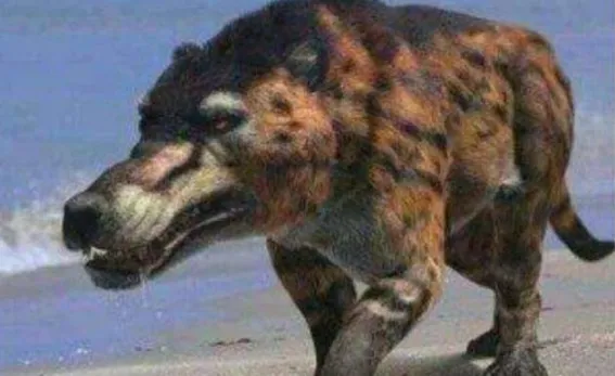 Loài 'sói đầu lừa' đã tuyệt chủng 500.000 năm nay đang xuất hiện trở lại ở Thần Nông Giá. Nó đang cảnh báo điều gì? Loài 'sói đầu lừa' đã tuyệt chủng 500.000 năm nay đang xuất hiện trở lại ở Thần Nông Giá. Nó đang cảnh báo điều gì?