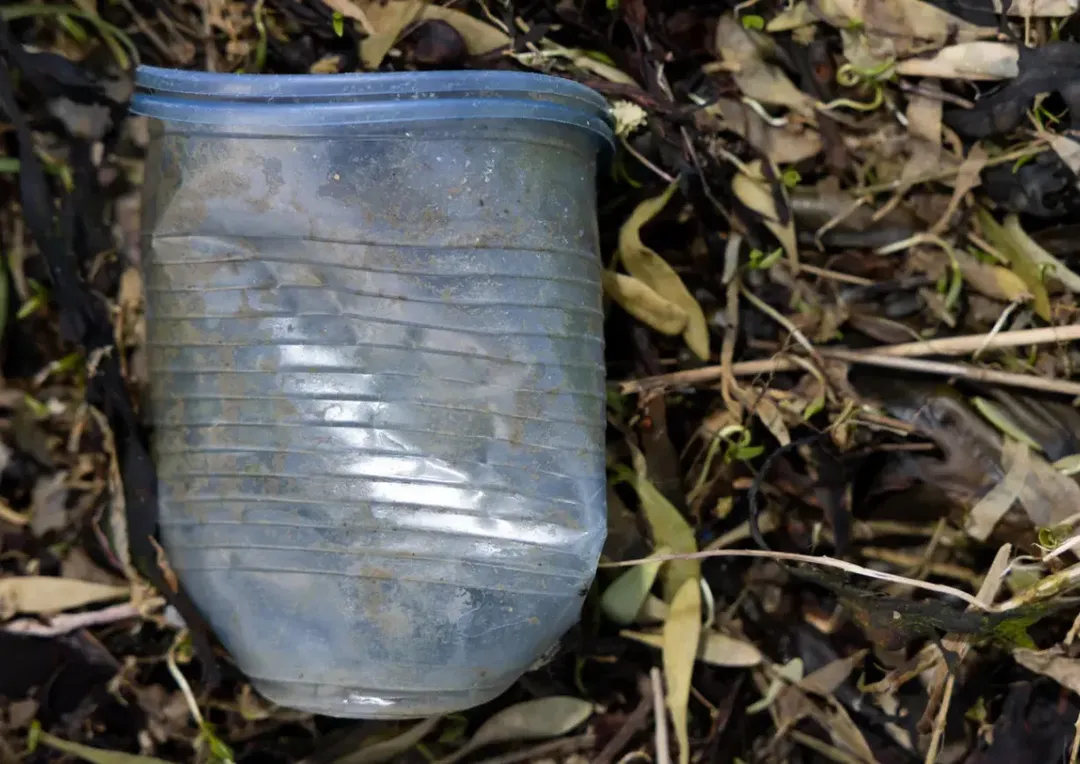 Vương quốc Anh cấm sử dụng nhựa dùng 1 lần, vĩnh biệt túi nilon, ống hút và cốc nhựa Vương quốc Anh cấm sử dụng nhựa dùng 1 lần, vĩnh biệt túi nilon, ống hút và cốc nhựa