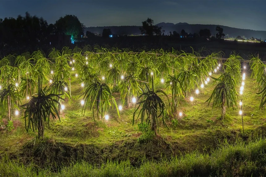 Cảnh tượng kì lạ trên chuyến bay từ Việt Nam gây bối rối Cảnh tượng kì lạ trên chuyến bay từ Việt Nam gây bối rối