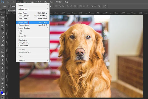 3 cách thay đổi kích thước hình ảnh bằng Adobe Photoshop nhanh chóng! 3 cách thay đổi kích thước hình ảnh bằng Adobe Photoshop nhanh chóng!