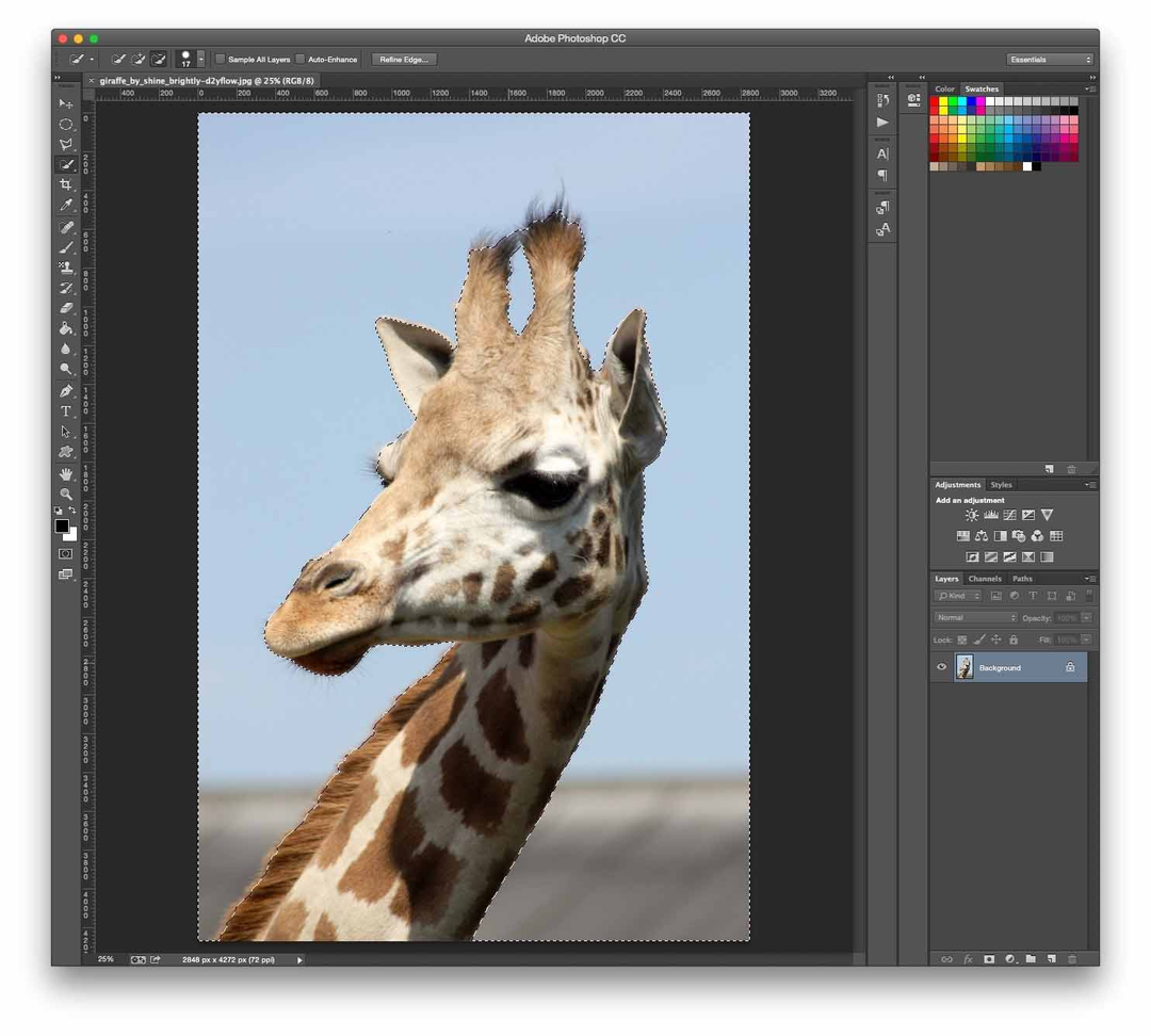 Cách tách nền trong Photoshop bằng Magic Wand dễ như ăn bánh Cách tách nền trong Photoshop bằng Magic Wand dễ như ăn bánh